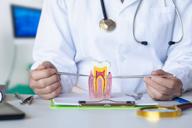 Best Emergency Dental Care for Sports Injuries in Claysburg, PA